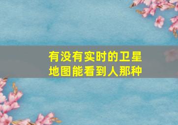 有没有实时的卫星地图能看到人那种