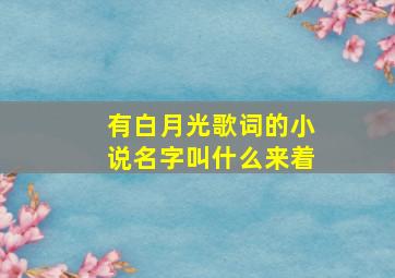 有白月光歌词的小说名字叫什么来着