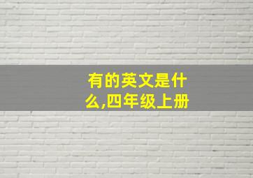 有的英文是什么,四年级上册