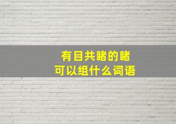 有目共睹的睹可以组什么词语