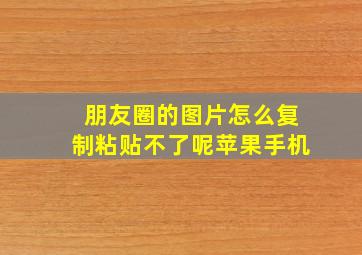 朋友圈的图片怎么复制粘贴不了呢苹果手机