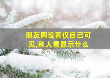 朋友圈设置仅自己可见,别人看显示什么