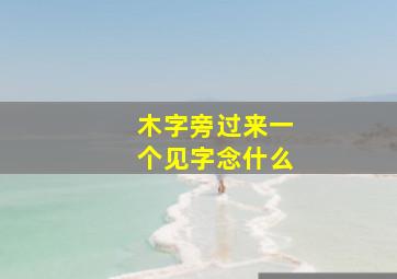 木字旁过来一个见字念什么