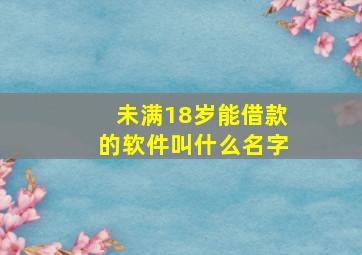 未满18岁能借款的软件叫什么名字