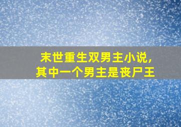 末世重生双男主小说,其中一个男主是丧尸王