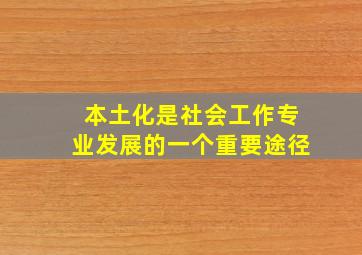 本土化是社会工作专业发展的一个重要途径