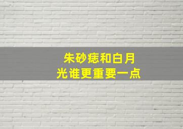 朱砂痣和白月光谁更重要一点