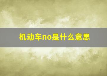 机动车no是什么意思