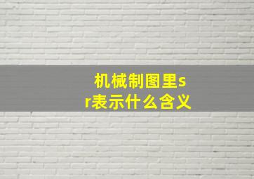 机械制图里sr表示什么含义