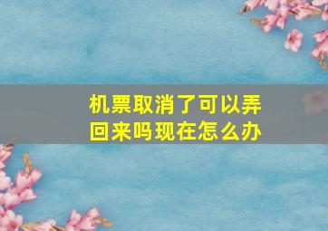 机票取消了可以弄回来吗现在怎么办