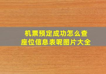 机票预定成功怎么查座位信息表呢图片大全