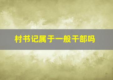 村书记属于一般干部吗