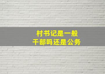 村书记是一般干部吗还是公务