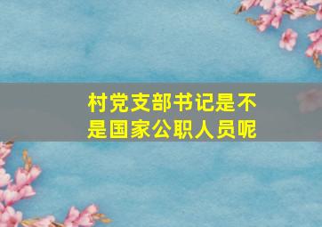 村党支部书记是不是国家公职人员呢