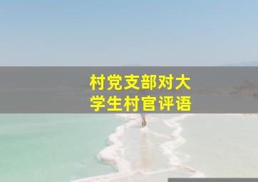 村党支部对大学生村官评语