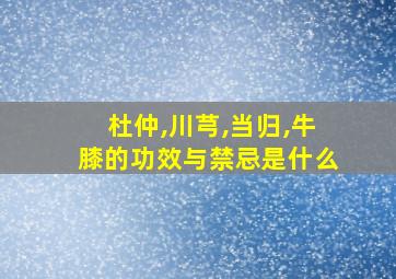 杜仲,川芎,当归,牛膝的功效与禁忌是什么