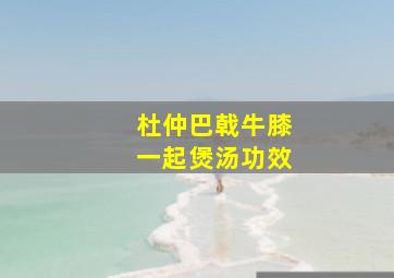 杜仲巴戟牛膝一起煲汤功效