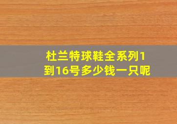 杜兰特球鞋全系列1到16号多少钱一只呢