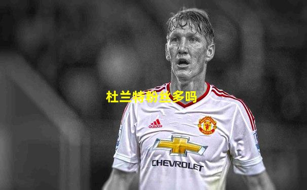 杜兰特粉丝多吗