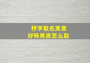 杼字取名寓意好吗男孩怎么取