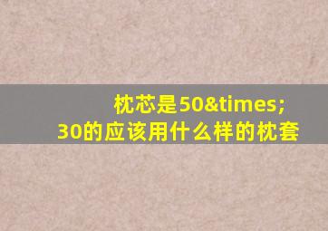 枕芯是50×30的应该用什么样的枕套