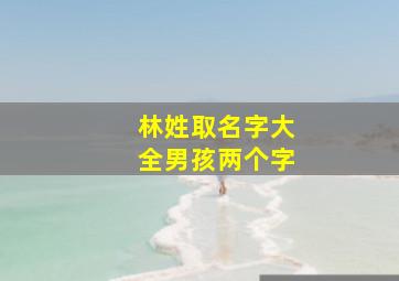 林姓取名字大全男孩两个字