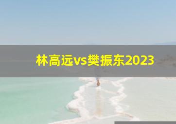 林高远vs樊振东2023