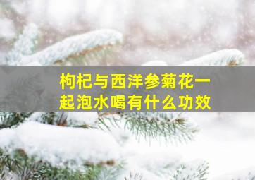 枸杞与西洋参菊花一起泡水喝有什么功效