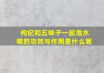 枸杞和五味子一起泡水喝的功效与作用是什么呢