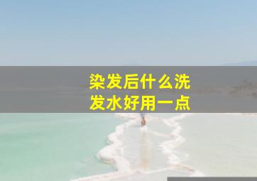 染发后什么洗发水好用一点