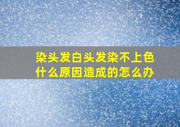 染头发白头发染不上色什么原因造成的怎么办