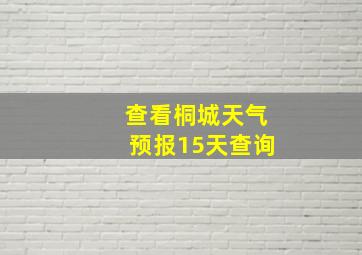 查看桐城天气预报15天查询