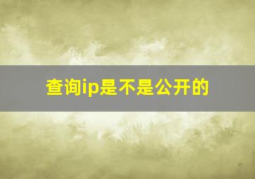 查询ip是不是公开的