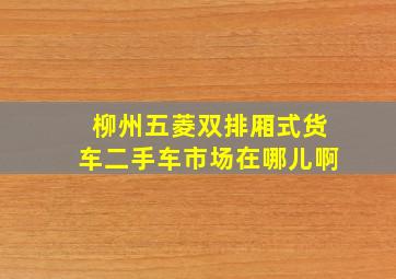 柳州五菱双排厢式货车二手车市场在哪儿啊