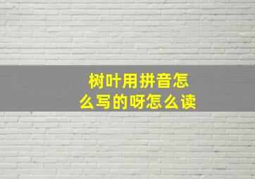 树叶用拼音怎么写的呀怎么读