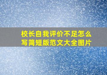 校长自我评价不足怎么写简短版范文大全图片