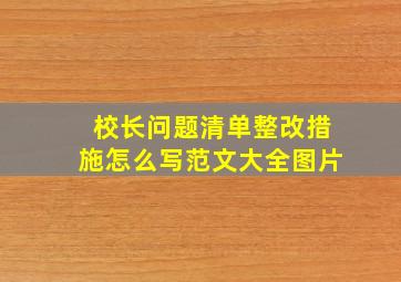 校长问题清单整改措施怎么写范文大全图片