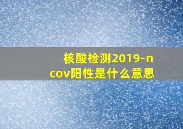 核酸检测2019-ncov阳性是什么意思