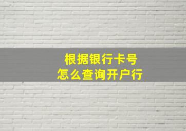 根据银行卡号怎么查询开户行