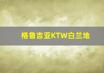 格鲁吉亚KTW白兰地