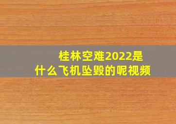 桂林空难2022是什么飞机坠毁的呢视频