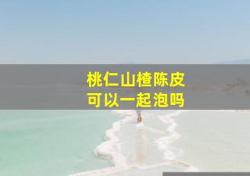 桃仁山楂陈皮可以一起泡吗