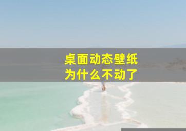 桌面动态壁纸为什么不动了