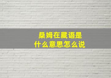 桑姆在藏语是什么意思怎么说