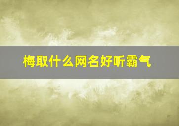 梅取什么网名好听霸气