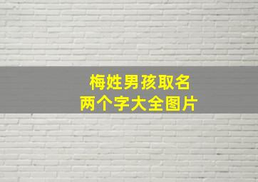 梅姓男孩取名两个字大全图片