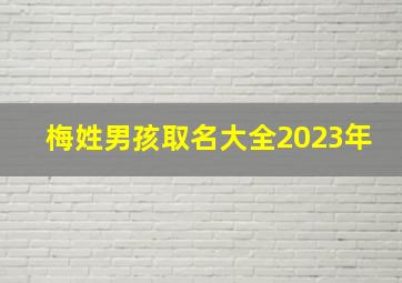 梅姓男孩取名大全2023年