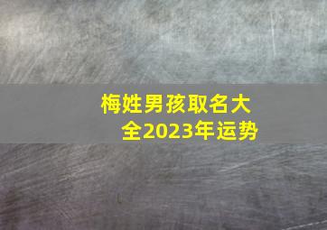 梅姓男孩取名大全2023年运势