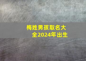 梅姓男孩取名大全2024年出生