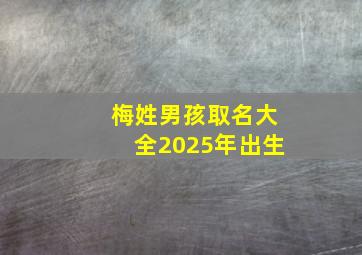 梅姓男孩取名大全2025年出生